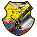 Schwarz Gelbe Bienen logo png 500